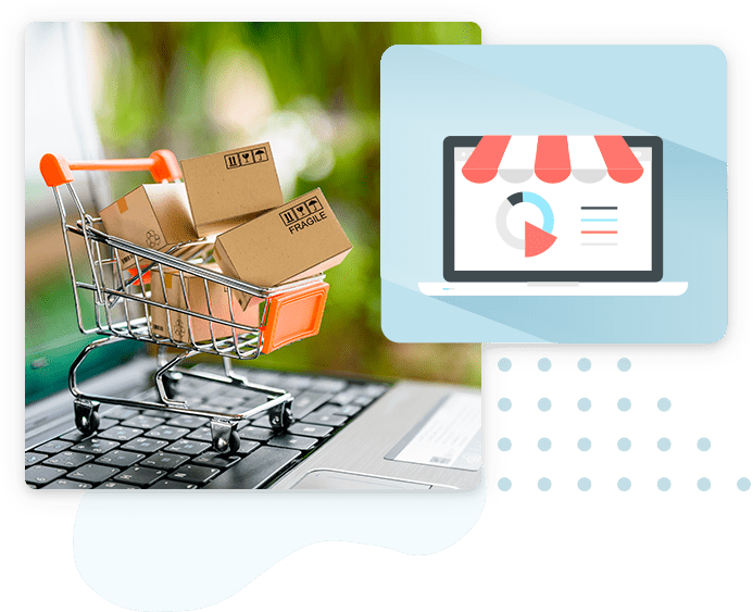 SEO Website & Shop Erstellung